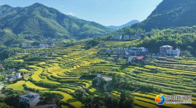 正在上传...
