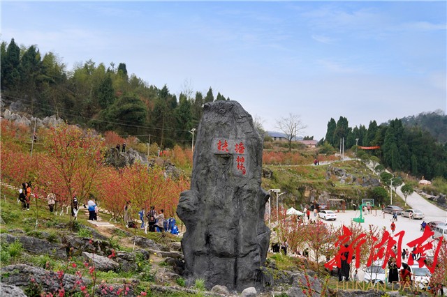 “小平台”成就乡村共建共治“大舞台”
