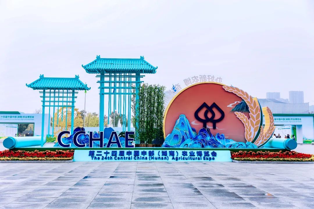 A8FC0E6672C0334B38B914D9E3B8C239E6B0A0B5_size4840_w5472_h3648.jpg