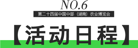 17.png 17.png