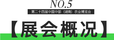 15.png 15.png