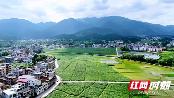 微信图片_20250623090319.jpg 微信图片_20250623090319.jpg