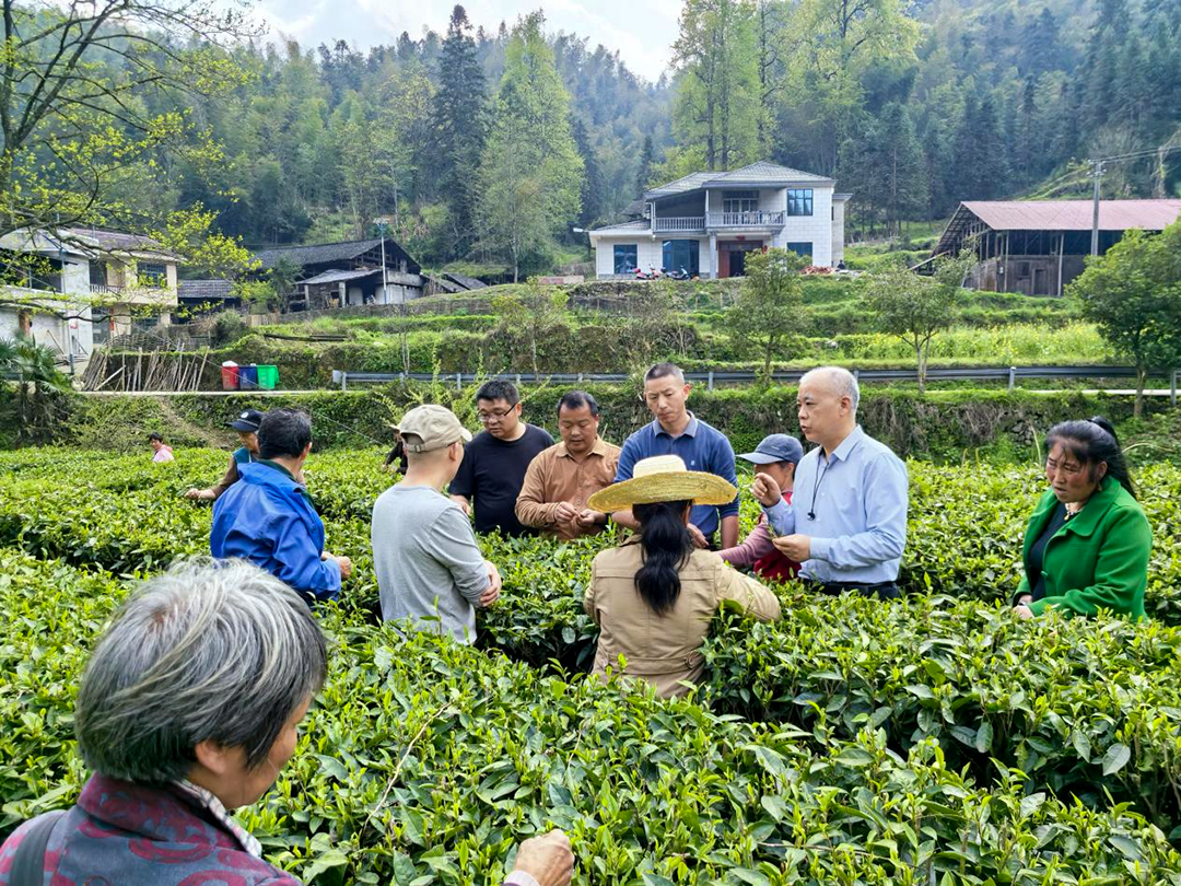 正在上传...