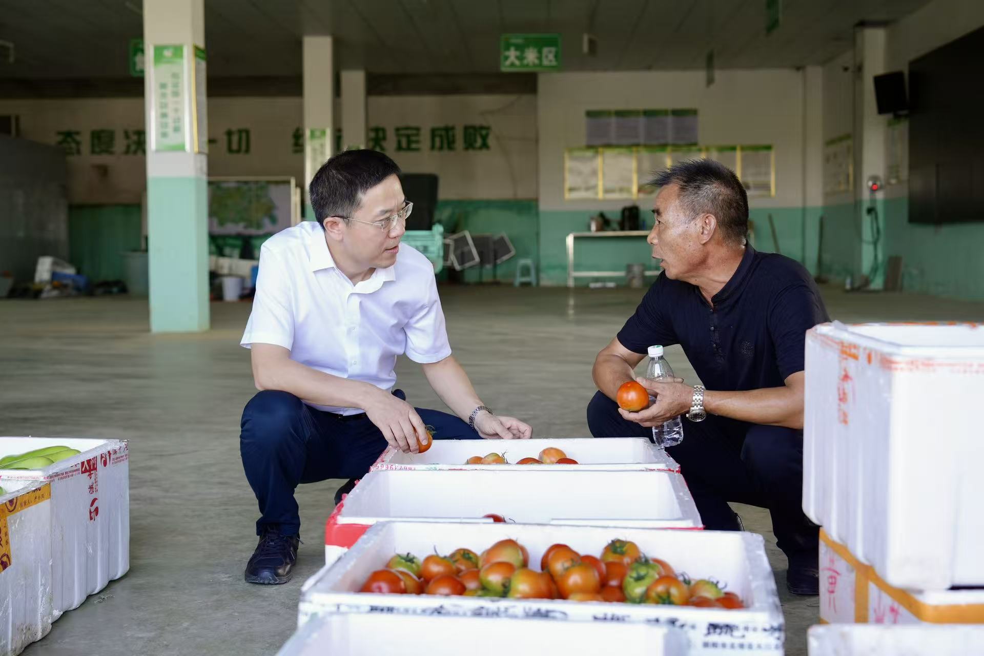 龚红果到双清区调研经济社会发展情况(图1)