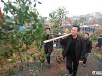 邵阳：市领导率40多家市直单位义务植树6000多株