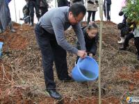 邵阳：市领导率40多家市直单位义务植树6000多株