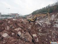 南互通敞口工程：绿化 路基施工同步推进