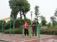 蔡锷广场绿意怡人