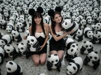 1600只纸熊猫香港机场上演“快闪”