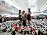 1600只纸熊猫香港机场上演“快闪”