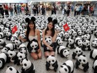 1600只纸熊猫香港机场上演“快闪”