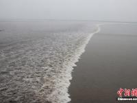 数万人浙江嘉兴观看钱塘大潮