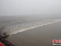 数万人浙江嘉兴观看钱塘大潮
