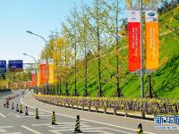 【北京APEC】缤纷雁栖