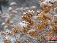  强降雪袭吉林 局地气温将骤降18℃