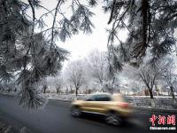  乌鲁木齐城区出现大面积雾凇美景