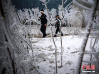  乌鲁木齐城区出现大面积雾凇美景