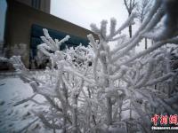  乌鲁木齐城区出现大面积雾凇美景