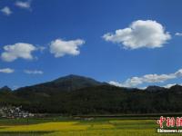 云贵高原云海“醉”人