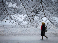 美国遭特大暴风雪袭击 多个州进入紧急状态(组图)