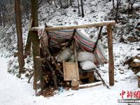 组图：陕西83岁“茅棚隐士”终南山修行36年