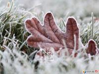 明日迎来“霜降” 注意防寒