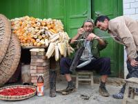 【中国人的一天】六旬割漆人