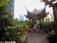 杭州“史上最牛空中后花园”开拆