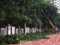 深圳一小学查出“毒跑道” 家长请愿停课