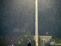 北京迎来今冬首场降雪 市民换上冬衣