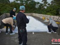 广西摧毁特大制毒窝点 查获原材料约800公斤