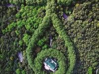 南京美龄宫现“最美项链”景观