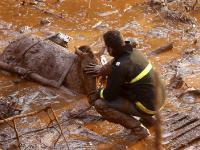 巴西矿区水坝溃决巴西矿区 至少17人死亡
