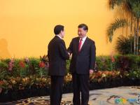 习近平、马英九进行历史性握手