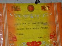 12岁少年为照顾瘫痪父亲辍学 每天为父抠大便