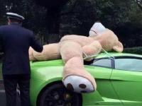 成都街头一豪车载超大号毛绒熊被交警查处