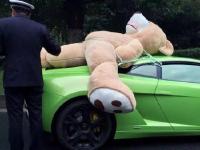 成都街头一豪车载超大号毛绒熊被交警查处