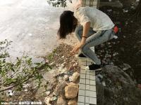 单位大门被封 工人排队翻墙上下班2年