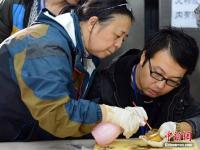 南昌西汉海昏侯墓出土罕见麟趾金