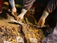 南昌西汉海昏侯墓出土罕见麟趾金