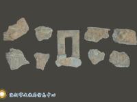 河南发现春秋陆浑国贵族墓葬 出土车马成群