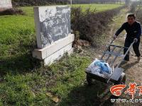 “芈月墓”埋于麦田下 陪葬墓现21个神秘圆坑