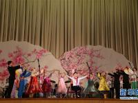 朝鲜残疾人表演歌舞 纪念国际残疾人日