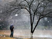 杭州初雪 西湖现“独钓寒江雪”美景