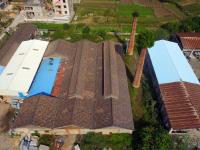 福建工厂烟囱长出大树啧啧称奇