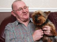 英国26岁最长寿狗狗“驻颜有术” 常被错认幼犬
