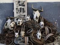四川羌族老汉反盗猎20年 保卫“熊猫走廊”