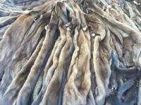 上海海关查获8万余张走私貂皮