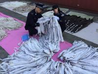 上海海关查获8万余张走私貂皮