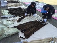 上海海关查获8万余张走私貂皮